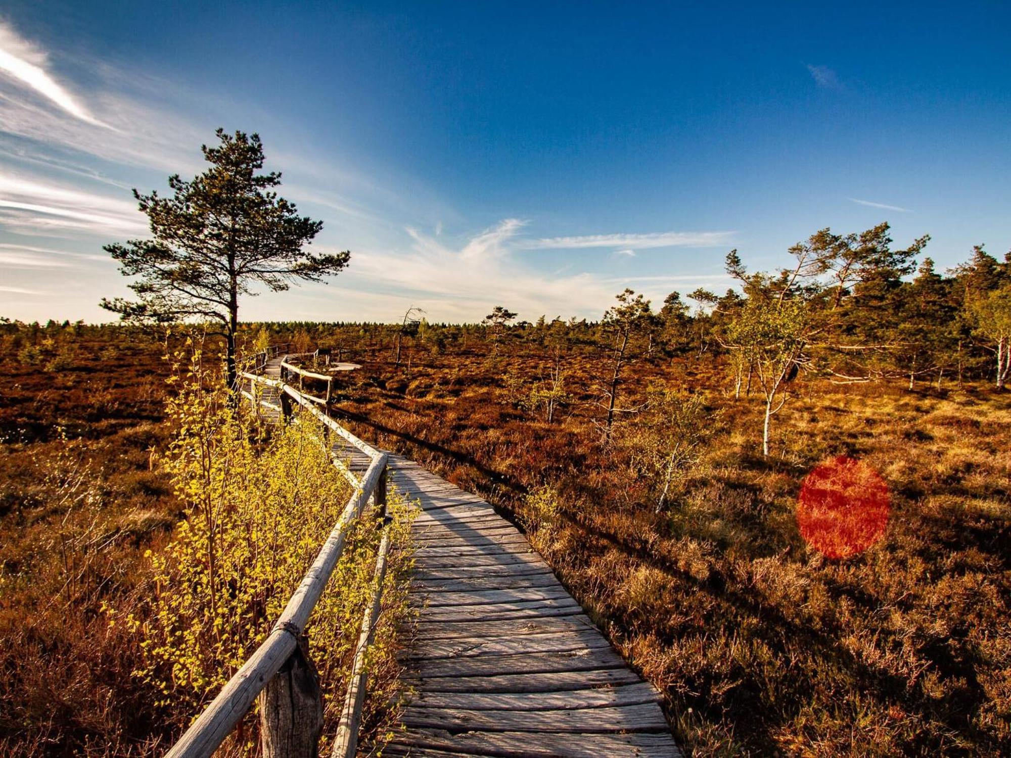 Feriendorf Wasserkuppe Abtsroda Luaran gambar